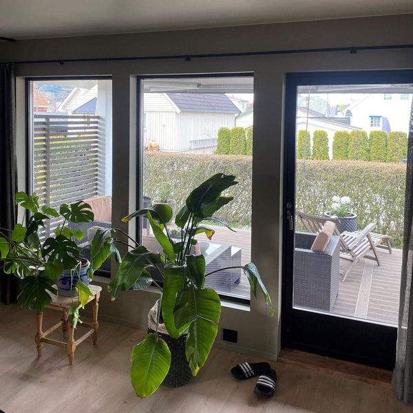 Ceramica 70 - Utvendig 152 cm Solskjerming Foliebutikken