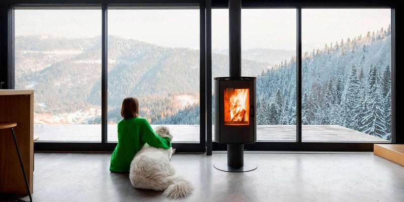 Person in green sweater sitting with a dog near a fireplace, looking at snowy mountain view through large windows.