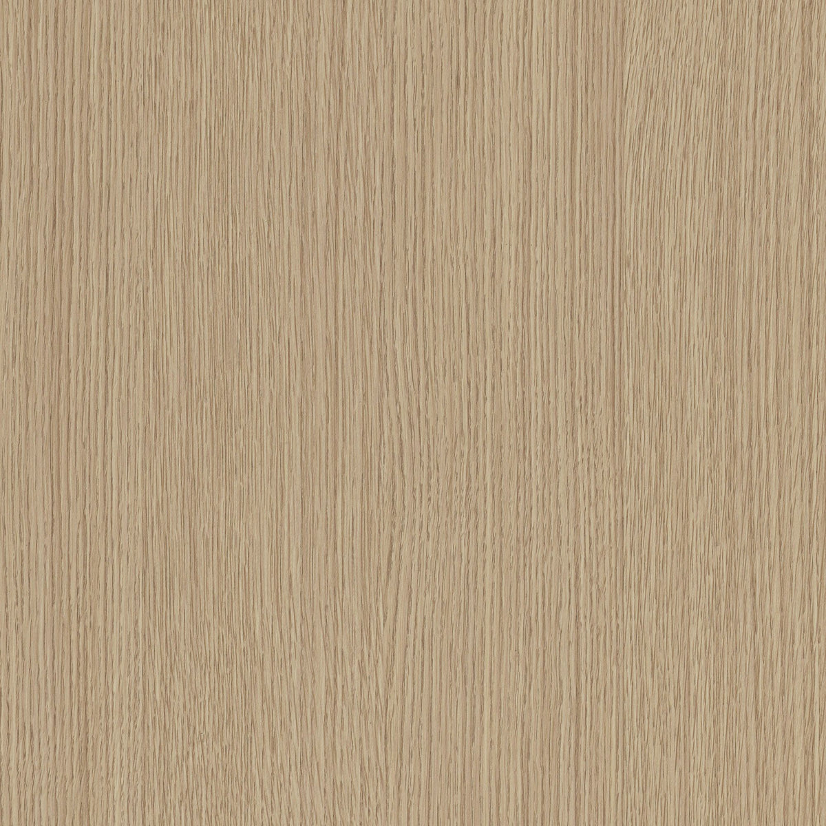 Cashewfarget Eik - B6