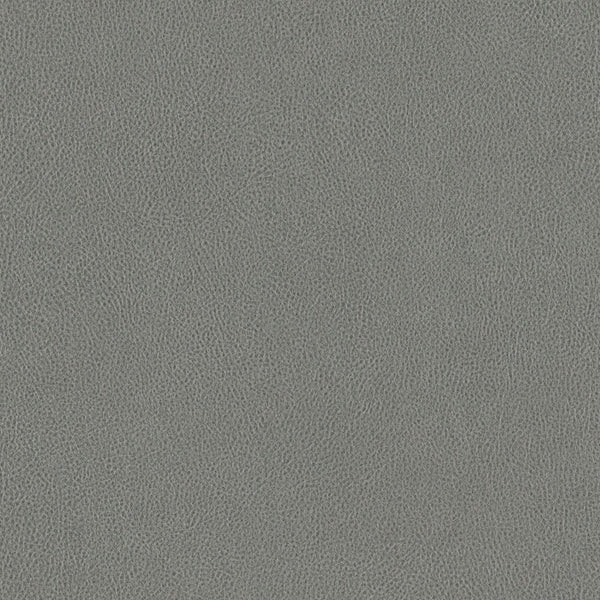 Lysegrått lær - NE41