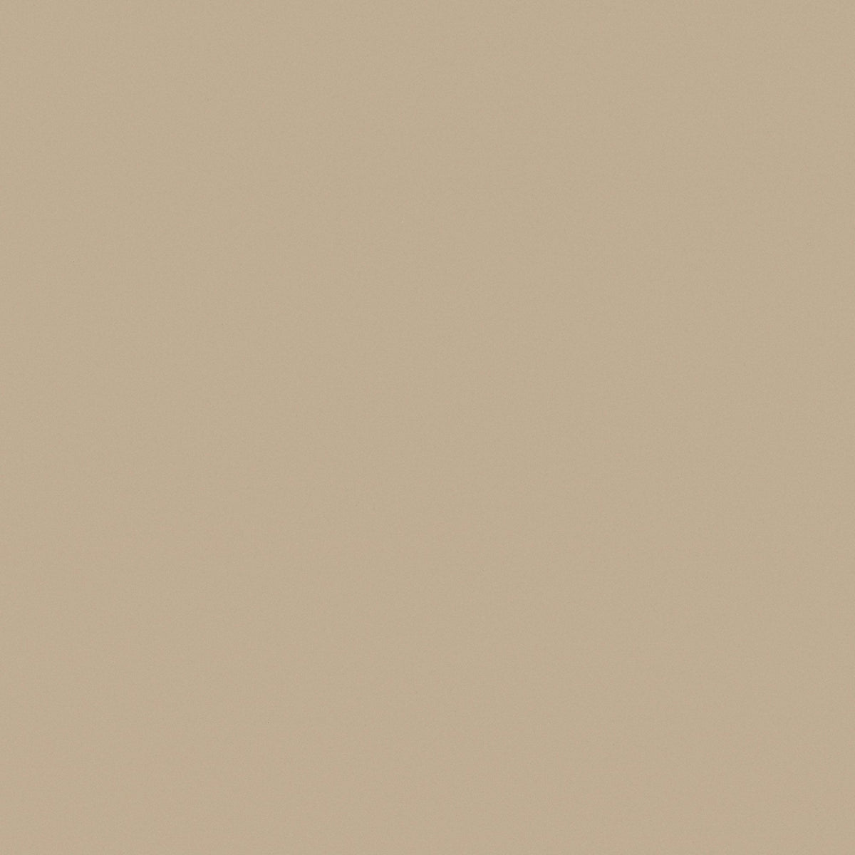 Kaffe Latte - NE55