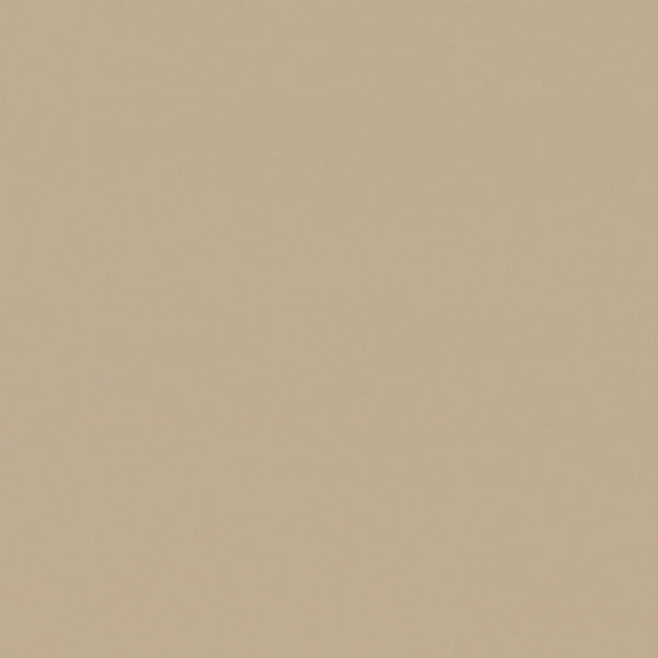 Kaffe Latte - NE55