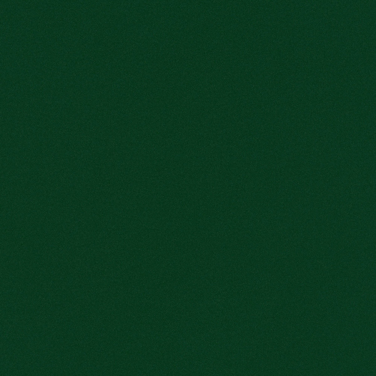 Evergreen - NE83