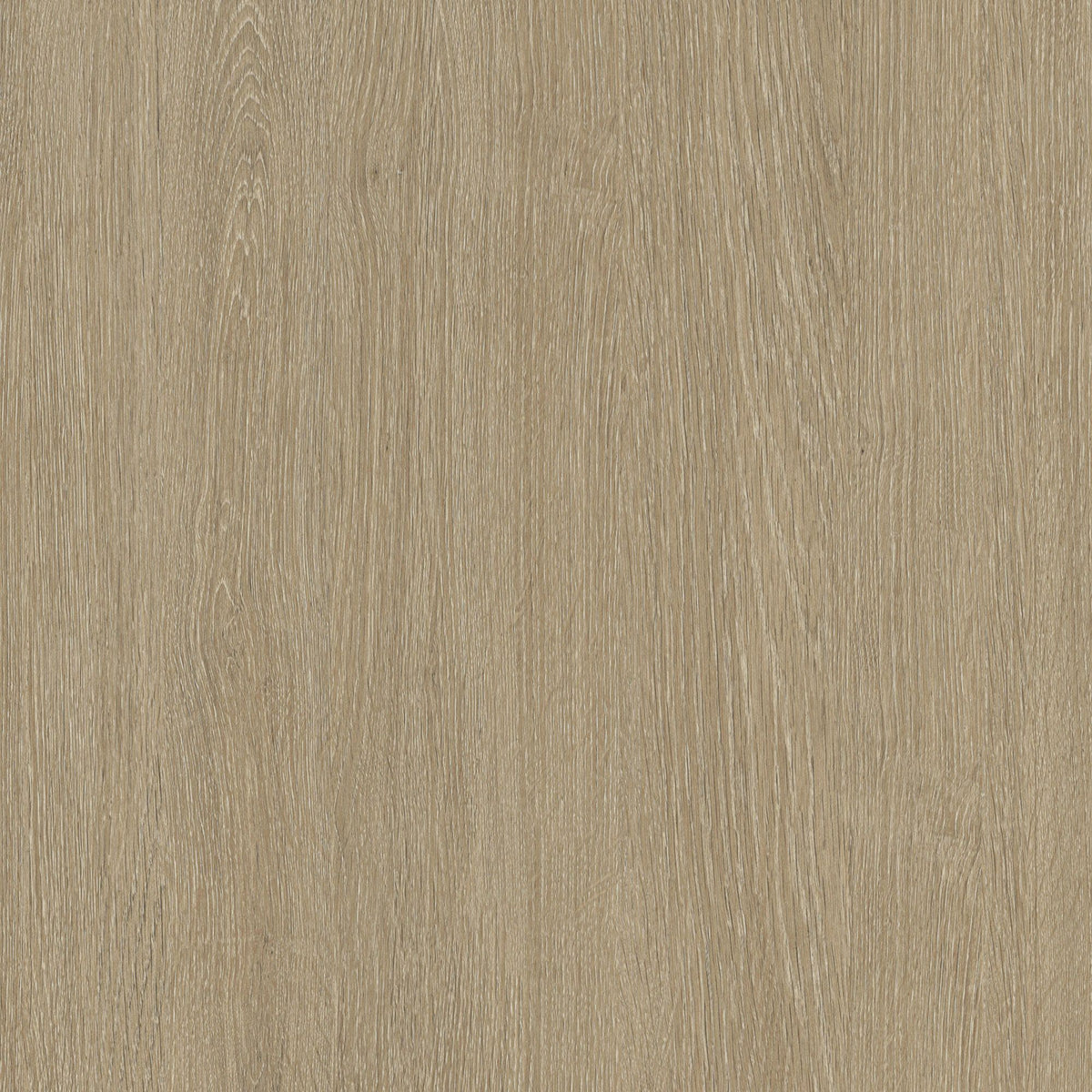 Harmonisk Brun Eik - NF44