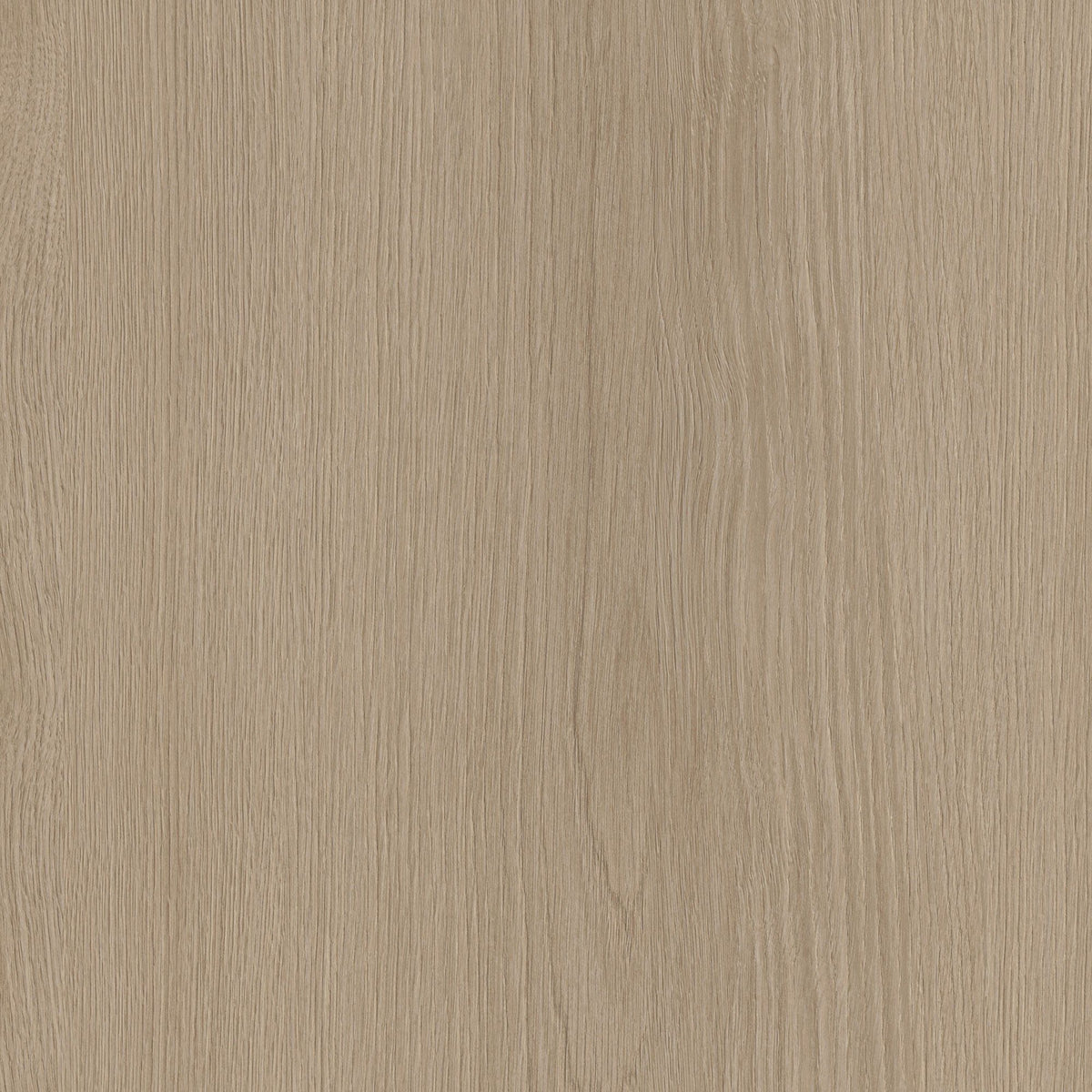 Prestige Steinbeige Eik NK44