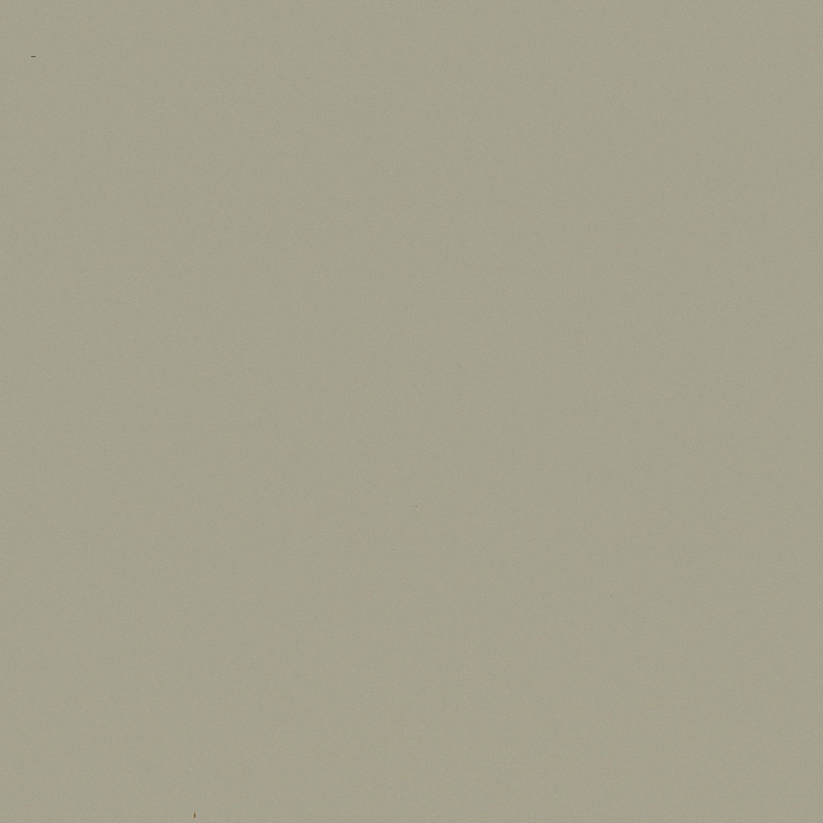 Taupe - NL5