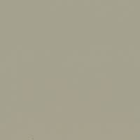Taupe - NL5