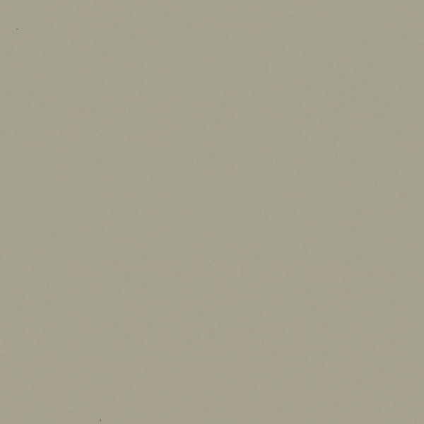 Taupe - NL5