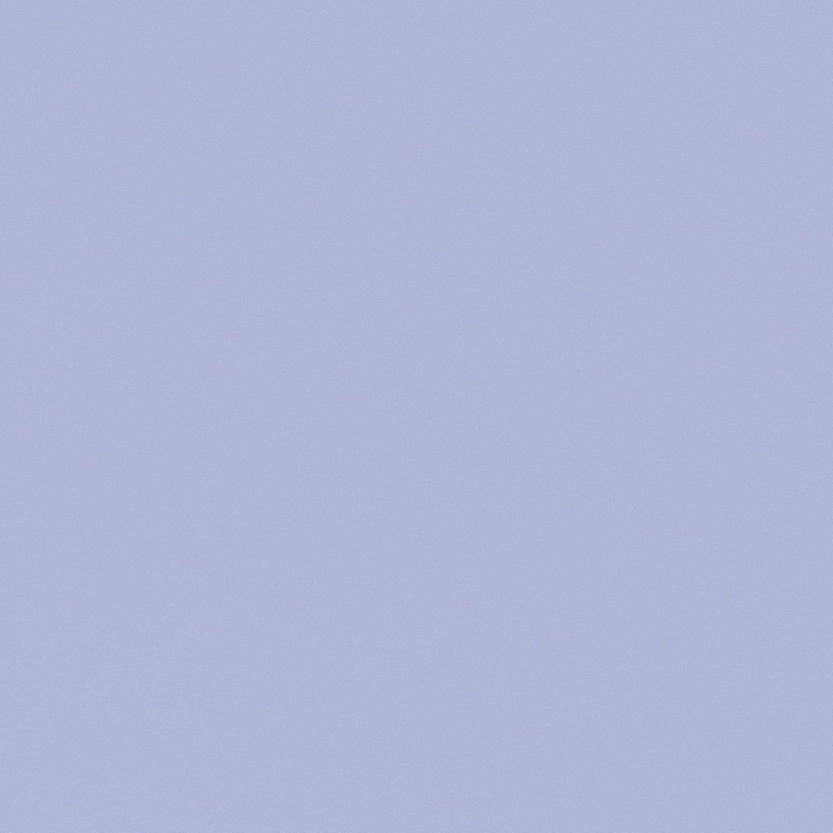 Lavendel - NL8