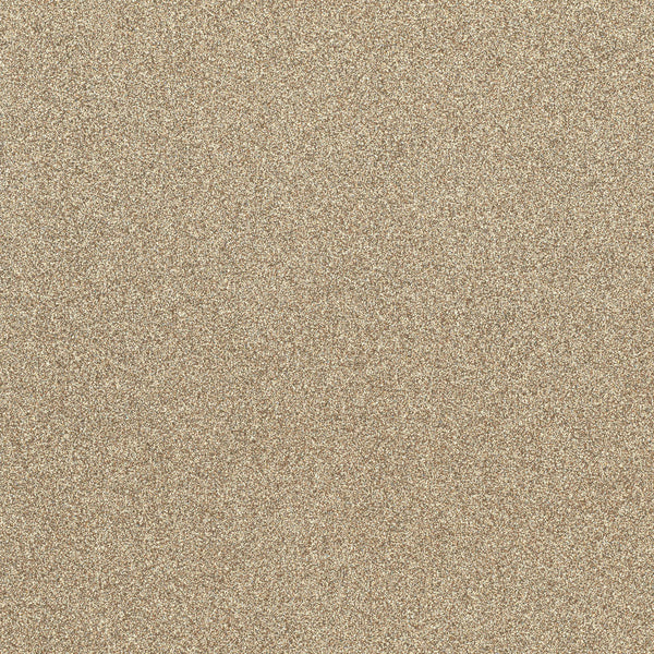 Chamapgnefarget Glitter- R19 - CS