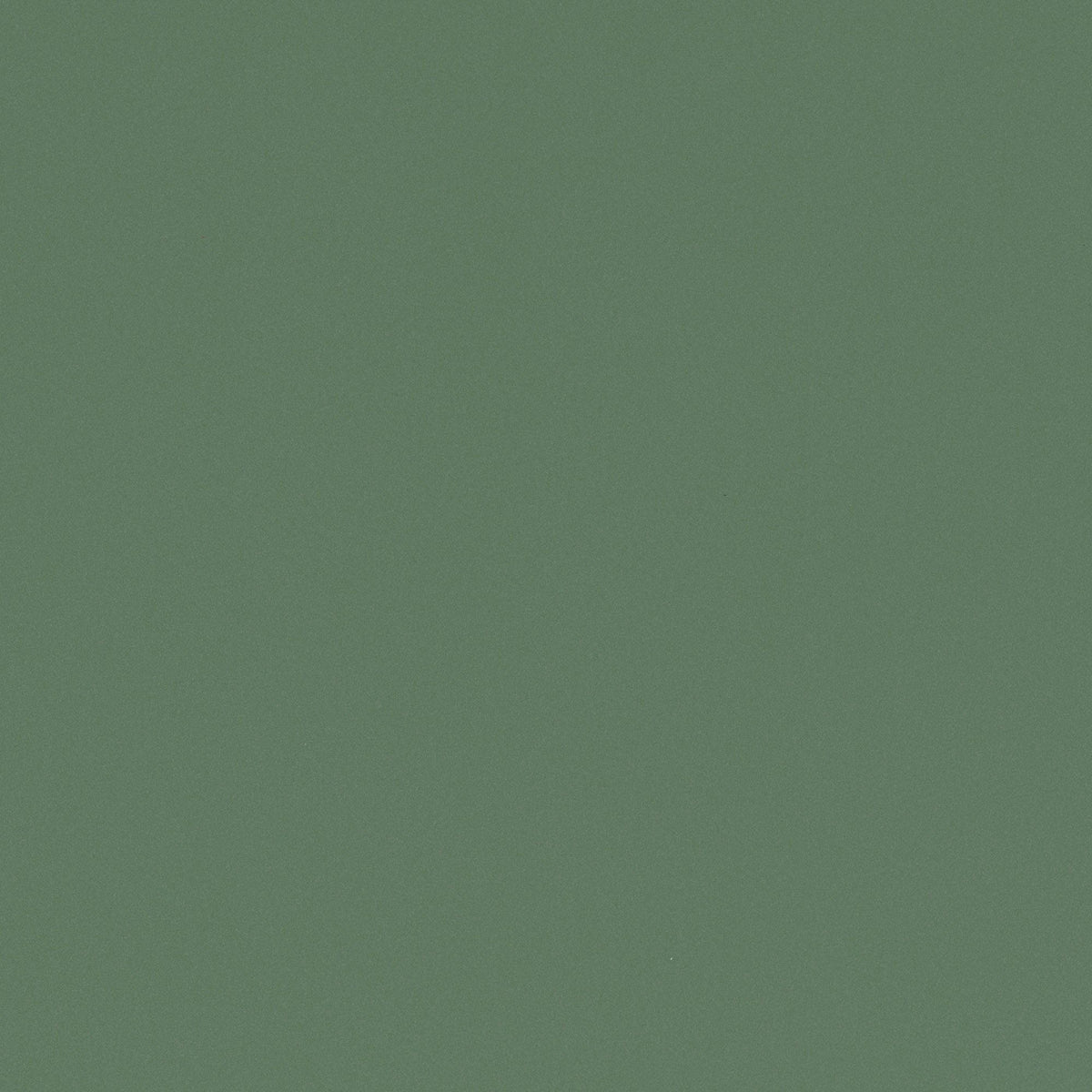 Salviegrønn - RM20