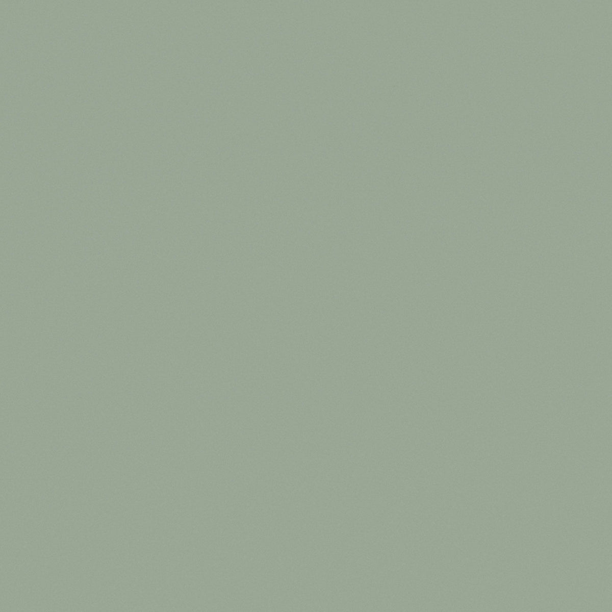 Eucalyptus - RM30