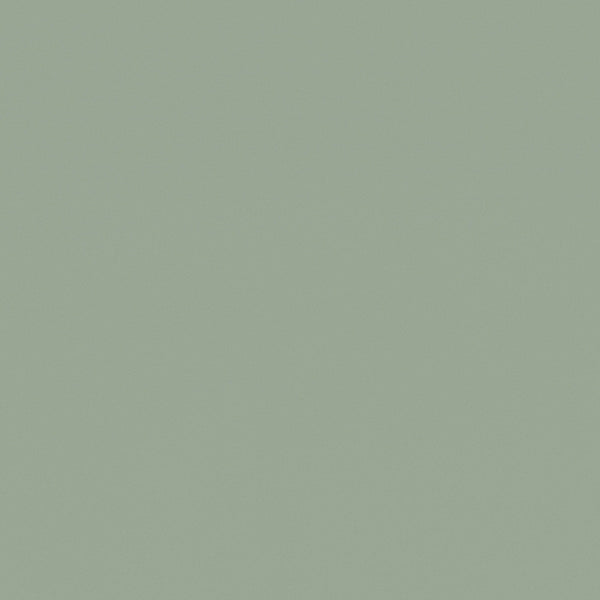 Eucalyptus - RM30